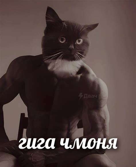 Funny Greek Russian Memes Silly Cats Rofl After Dark Cringe Funny Images Really Funny Avatar