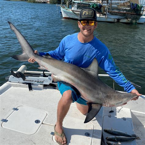 Best Of The Sunshine State Shark Fishing Charters