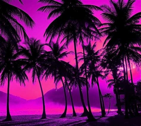 Purple Palms Sunset Iphone Wallpaper Palm Tree Sunset Palm Trees
