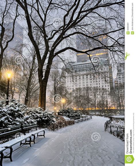 Central Park New York City Snow Storm Stock Image Image