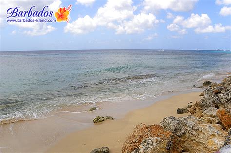 north look of heywoods beach in speightstown the barbados experience