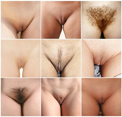 Hairy Pussy Shapes Free Porn
