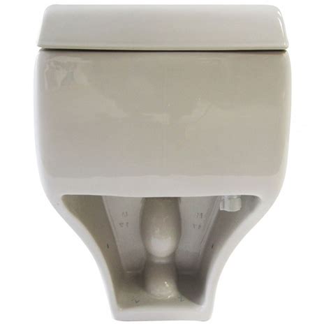 Eago Tb108 One Piece High Efficiency Low Flush Eco Friendly Ceramic Toilet