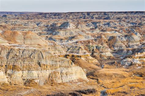 Dinosaur Provincial Park, Alberta, Canada Historical Facts and Pictures ...