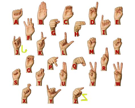 5 letters of the alphabet (a,e,i,o,u) are vowels and 21 other letters are consonants (b, c, d, f, g, h, j, k, l, m, n, p. Sign Language