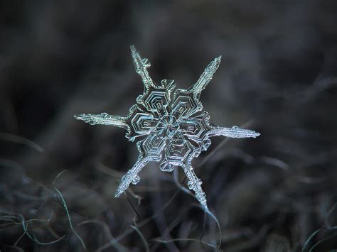 Real Snowflake Photo The Shard Photograph By Alexey Kljatov Fine