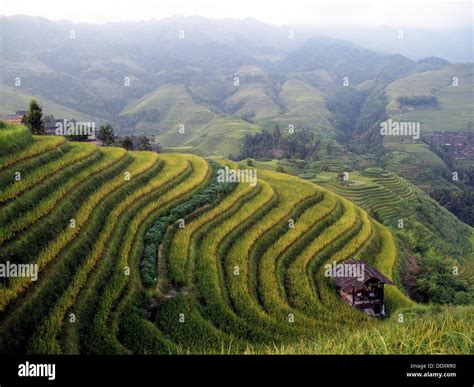 Ping An Rice Terraces Longsheng Longji Guilin China Stock Photo Alamy