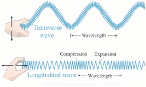 6 Illustration Of A Transverse Wave And A Longitudinal Wave Download