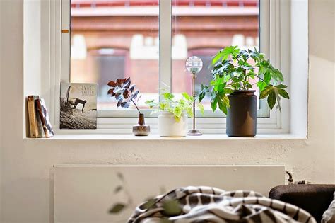 Por ejemplo, un lugar que en desde el punto de vista de la decoración, que es lo que nos interesa en este artículo, las plantas. Decoración Fácil: # DIARIODECO11 DECORAR CON PLANTAS LAS REPISAS DE LAS VENTANAS + SORTEO