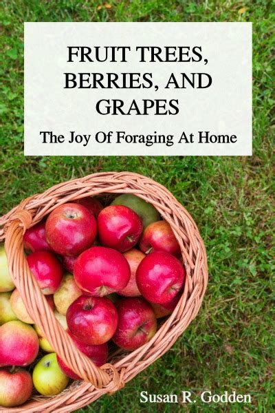 Fruit Trees Berries And Grapes The Joy Of Foraging At Home A