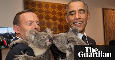G20 S Koala Diplomacy World Leaders Show Their Cuddly Side In Pictures World News The