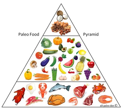 Paleolithic Diet Myth What Our Ancestors Ate