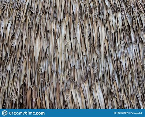 Vintage Roof Made From Dry Palm Leaf Stock Image Image Of Background