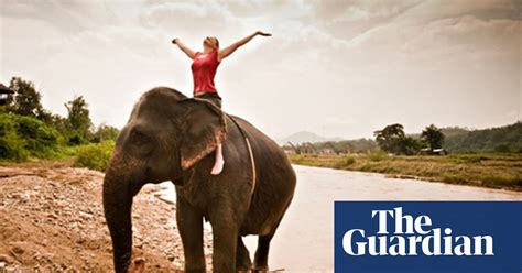 How Riding Elephants Can Help Energy Efficiency In The Office