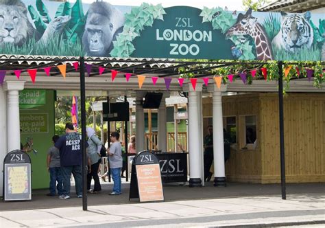 13 Intriguing Facts About London Zoo
