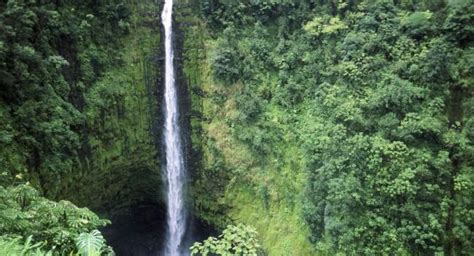 Akaka Falls State Park Review Big Island Hawaii Sight Fodors Travel