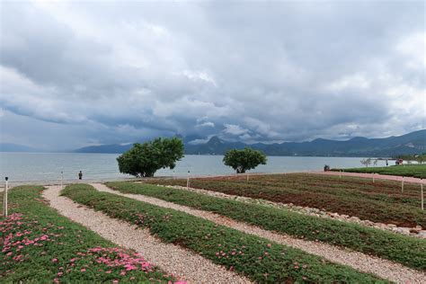 Fragrant Flora Bloom Near Fuxian Lake In Sw China Cgtn