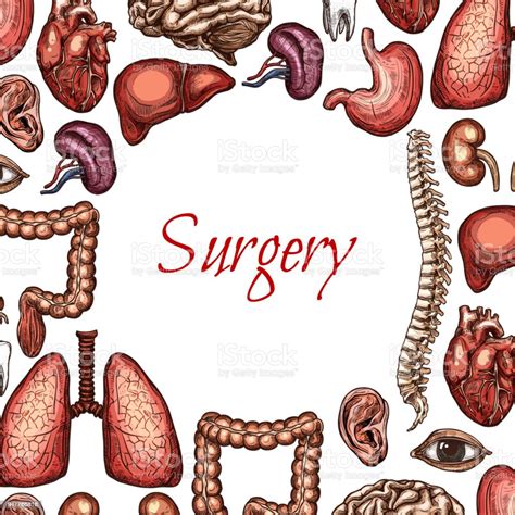 Surgery Poster With Human Organ Body Parts Sketch Stock Illustration