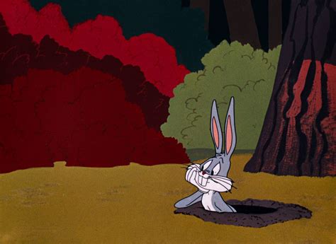 Bugs Bunny Cartoons Looney Tunes Bugs Bunny Bape Wallpaper Iphone