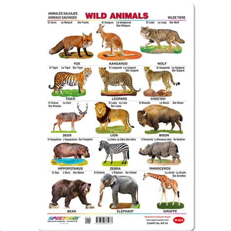 Wild Animals Wall Charts Manufacturer Supplier In Mumbai