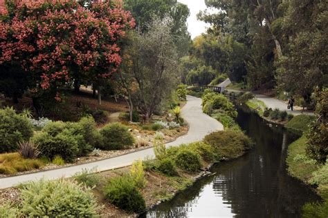 Uc Davis Arboretum And Public Garden Invites Staff And Students To