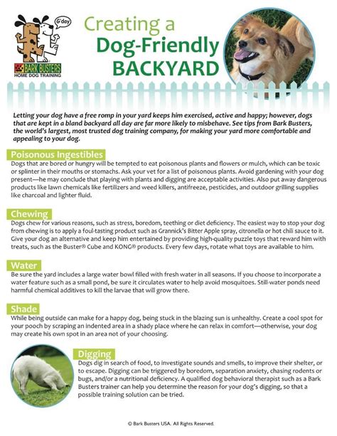 Bark Busters Collection Of Care And Safety Handouts Handouts Busters