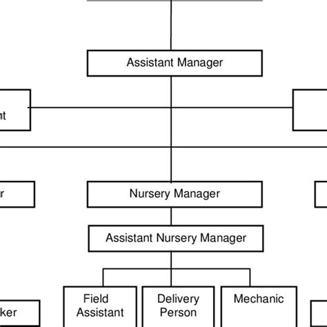 Line And Staff Organization Structure Download Scientific Diagram