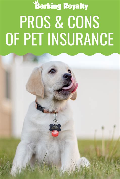 See why real customers love nationwide® pet insurance. Is Pet Insurance Worth Getting | Pets, Pet insurance ...