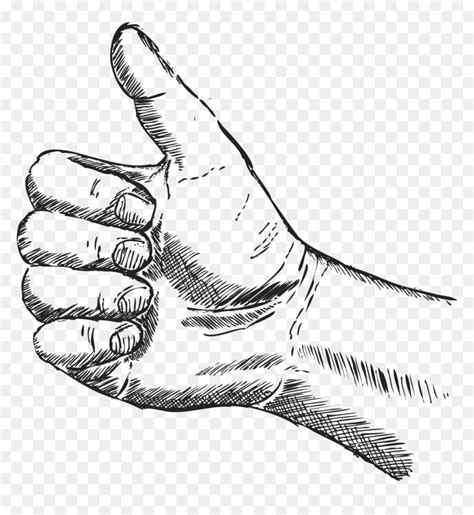 Woodcut Illustration Thumbs Up Sketch Hd Png Download Vhv