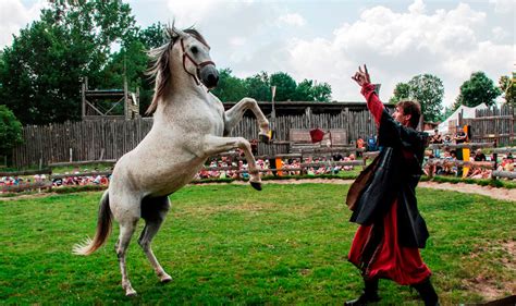 Puisse ce cheval me donner l'envie de garder mes crayons en main malgré ce contexte. Le cheval de guerre au moyen âge : démonstration - Salva Terra