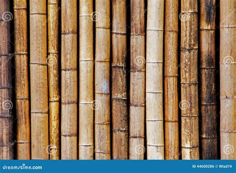 Fond De Vieille Et Sèche Barrière En Bambou Photo stock Image du