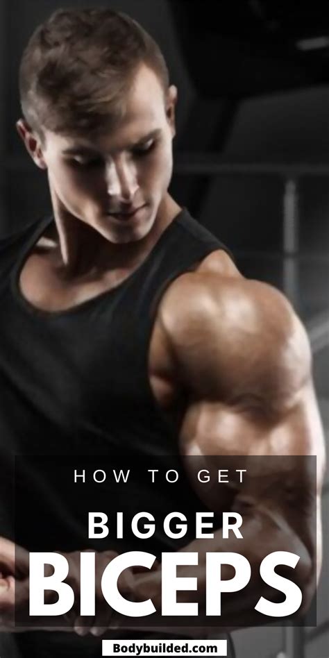 13 Of The Best Bicep Training Workouts For Bigger Biceps Fast Big