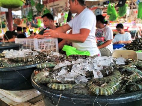 Asyiknya Wisata di Filipina Inilah 9 Rekomendasi Oleh 