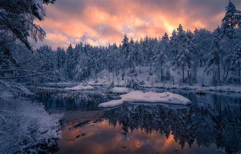 Wallpaper Winter Forest Snow Trees Sunset Reflection