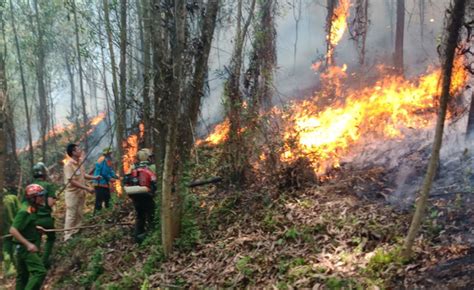 Wildfire Breaks Out Again In North Central Vietnamese Province Tuoi Tre News