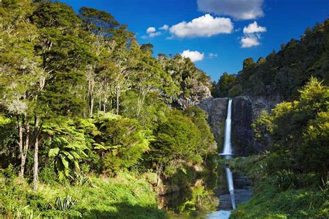 Auckland Hiking Guide The Best Hikes And Walks For Your Nz Adventure