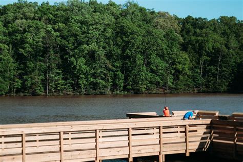 Lazy summer days on the water at lake wylie, thrilling roller coaster rides at carowinds, or hiking anne springs close greenway. Anne Springs Close Greenway | Charlottes Got A Lot