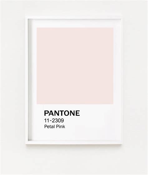 Pantone Print Pantone Poster Petal Pink Pantone Wall Art Etsy