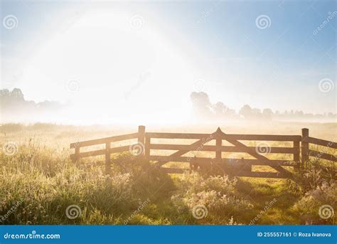 Beautiful Landscape Of The Morning Field With Fog Stock Image Image