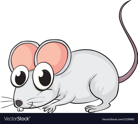 A Mouse Royalty Free Vector Image Vectorstock