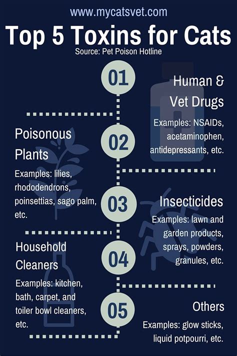 If your pet has vomited, bring a sample with. Homepage (With images) | Pet poison, Cat care, Cats