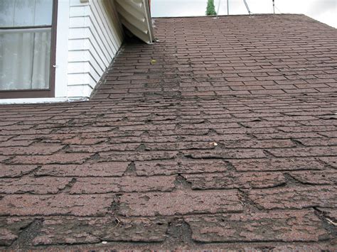 Signs You Need A New Roof Integrity Building And Restoration