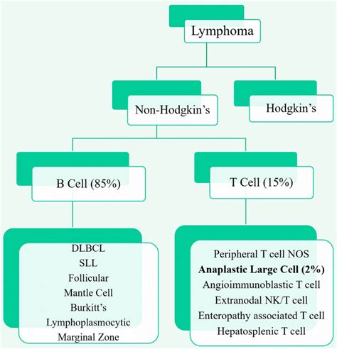 Classification Of Different Subtypes Of Lymphoma Download Scientific