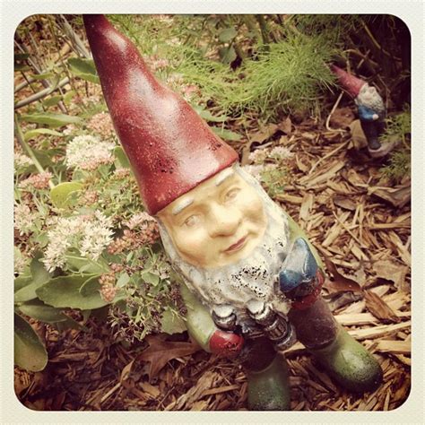 Garden Gnomes Make Charming Garden Companions HGTV