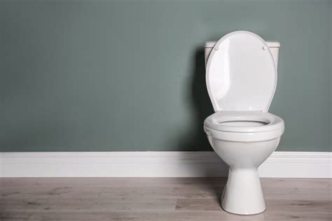 How To Unblock A Toilet Village Heating