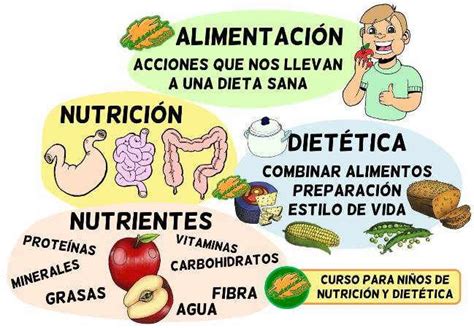definicion nutricion dietetica alimentacion para niños Alimentacion
