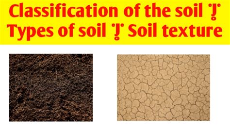 Classification Of The Soil Types Of Soil Soil Texture Civil Sir