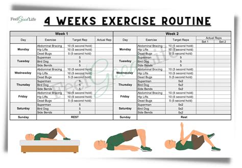 Easy Core Exercises For Seniors Printable Workout Chart With Pictures