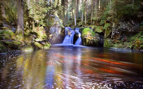 Alle weiteren informationen findest du im haupteintrag. Krai Woog Gumpen Foto & Bild | landschaft, jahreszeiten ...