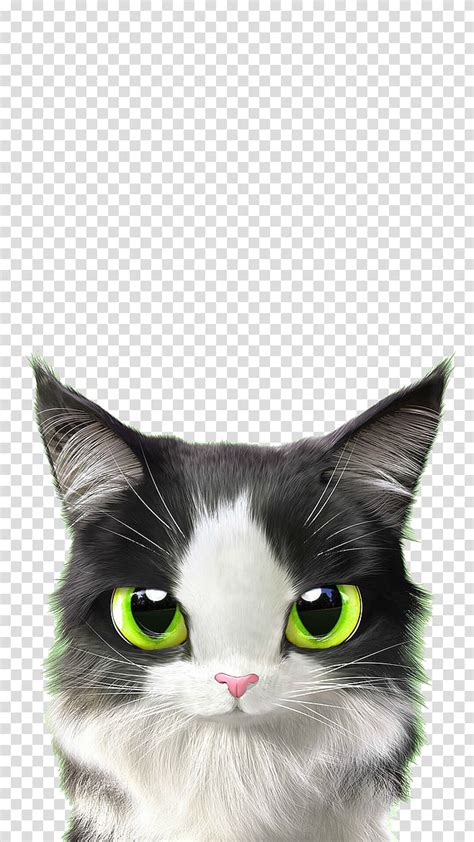 Cat Kitten Mouse Cuteness T Green Eyed Cat Transparent Background